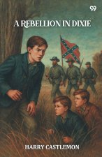 A Rebellion In Dixie