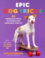 Outstanding Dog Tricks