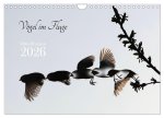 Vögel im Fluge (Wandkalender 2026 DIN A4 quer), CALVENDO Monatskalender