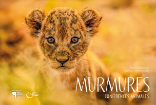 Murmures