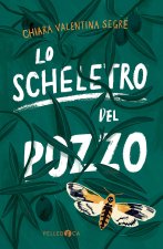 scheletro del pozzo