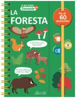 foresta. Le mie prime domande