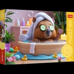 Puzzle 160 Kapibara w Spa 15433