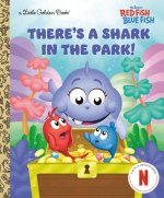 THERES A SHARK IN THE PARK