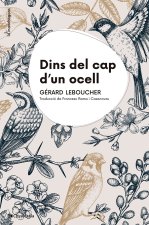 Dins del cap d'un ocell