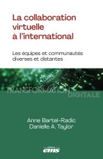 La collaboration virtuelle à l'international