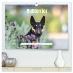 Bullterrier - charmante Herzensbrecher (hochwertiger Premium Wandkalender 2026 DIN A2 quer), Kunstdruck in Hochglanz