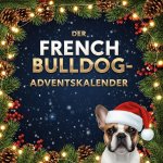 Der French Bulldog-Adventskalender
