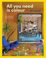 All You Need is Colour /anglais