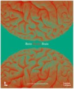 Wonder Brain /anglais/nEerlandais