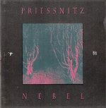 Priessnitz:  Nebel