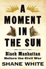 A Moment in the Sun