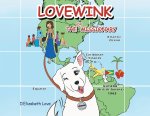 Lovewink