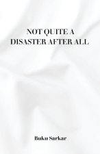 Not Quite a Disaster After All
