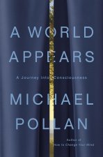 A World Appears