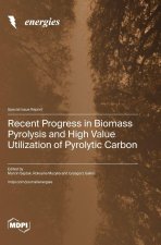 Recent Progress in Biomass Pyrolysis and High Value Utilization of Pyrolytic Carbon