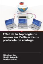 Effet de la topologie du réseau sur l'efficacité du protocole de routage