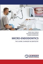 MICRO-ENDODONTICS