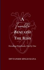 A Tremble Beneath the Ribs  Decoding Heartbeats, One by One