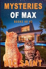 Mysteries of Max