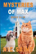 Mysteries of Max