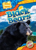 Black Bears