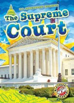 The Supreme Court