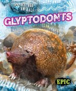 Glyptodonts