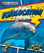 Echolocation