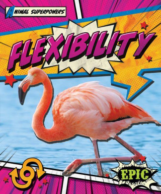 Flexibility