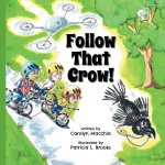 Follow That Crow!