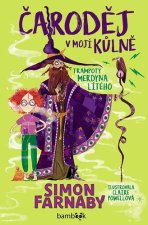 Čaroděj v mojí kůlně - Trampoty Merdyna Lítého