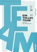 Ein tolles Team B1.1 Arbeitsbuch+Code