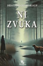 Ni zvuka
