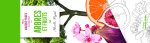 Marque-pages - Arbres