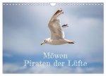 Möwen Piraten der Lüfte (Wandkalender 2026 DIN A4 quer), CALVENDO Monatskalender
