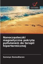Nanoczasteczki magnetyczne pokryte pullulanem do terapii hipertermicznej