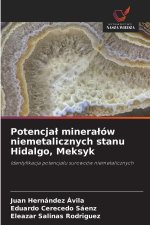 Potencjal mineralów niemetalicznych stanu Hidalgo, Meksyk
