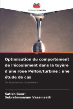 Optimisation du comportement de l'écoulement dans la tuyère d'une roue Pelton/turbine : une étude de cas