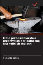 Male przedsiebiorstwa przemyslowe w pólnocno-wschodnich Indiach