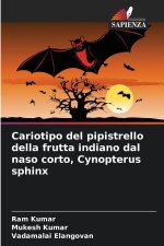 Cariotipo del pipistrello della frutta indiano dal naso corto, Cynopterus sphinx