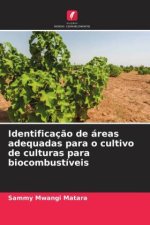 Identificação de áreas adequadas para o cultivo de culturas para biocombustíveis