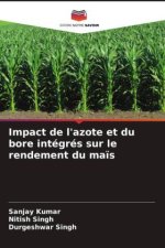 Impact de l'azote et du bore intégrés sur le rendement du maïs