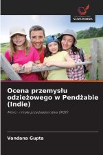 Ocena przemyslu odziezowego w Pendzabie (Indie)
