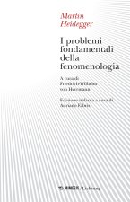 problemi fondamentali della fenomenologia