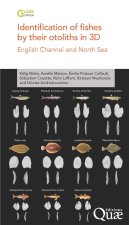 Identification of fishes by their otoliths in 3D