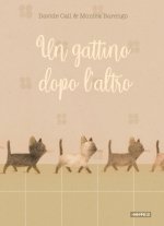gattino dopo l'altro