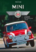 Mini a marchio Rover