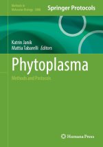 Phytoplasma