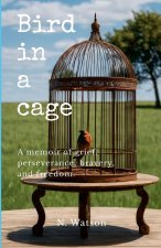 Bird in a cage
